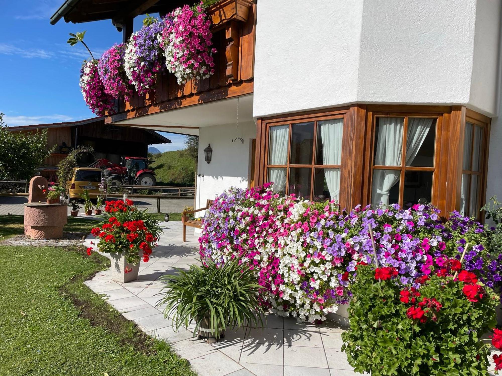 Gaestehaus Seeklause Швангау Экстерьер фото